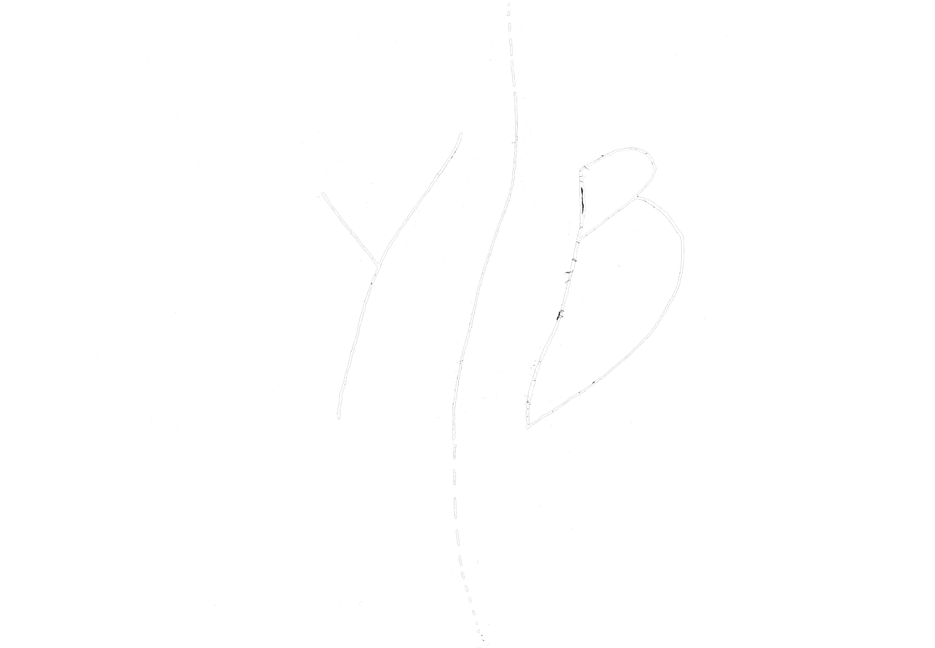 YIB