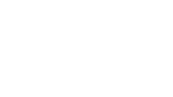 MIC ISTMO0 2020